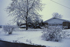 Indiana   -   Terre Haute   -   RR 21 Box 443   -   Snow   -   November 1984