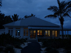 starr-150403-0953-Cocos_nucifera-early_morning_darkness_with_lights_on-Clipper_House_Sand_Island-Midway_Atoll