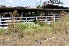 disused Oakey cattleyards