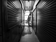 Backlight & Lines | Hatyai 2015