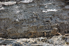 Ophiomorpha burrows in aragonitic limestone (Cockburn Town Member, Grotto Beach Formation, Upper Pleistocene, 114-127 ka; Ophiomorpha Bay, Cockburn Town Fossil Reef, San Salvador Island, Bahamas) 15