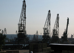 Cranes of Varna