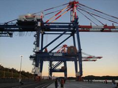 Prince Rupert container port cranes