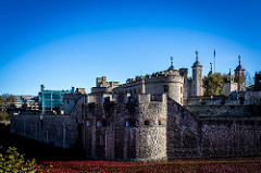 Tower of London with Poppies
