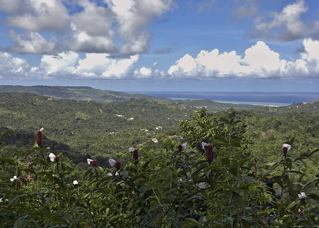 View, Barbados