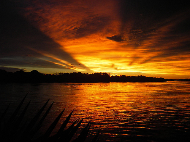 Orange Sunset on the Zambezi
