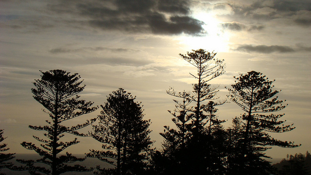 Norfolk Island Sunset