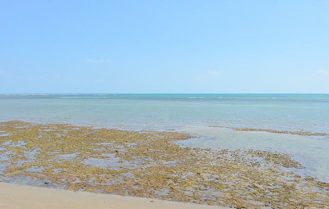 Beach on the Gulf of Tadjoura