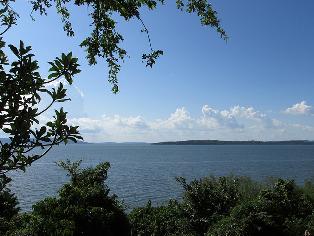 A view of Lake Victoria, looking toward Jinja.