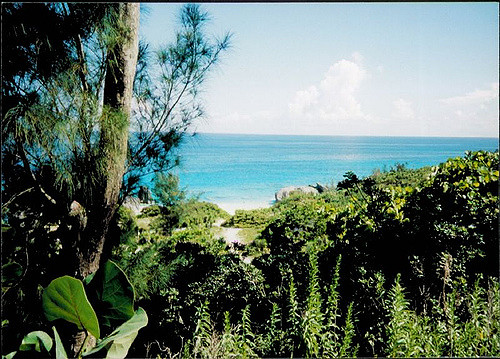 Hillside View Bermuda
