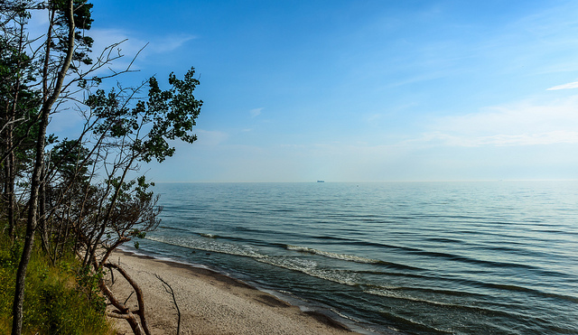 Sunny day on the coast on Baltic sea