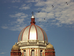 Birds atop Cooch Behar Rajbari