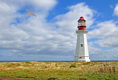 DGJ_4784 - Low Point Lighthouse
