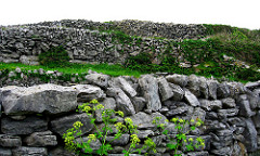 Inisheer in Galway Bay