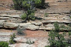 Kayenta Formation (Lower Jurassic; Red Canyon, Colorado National Monument, Colorado, USA) 3