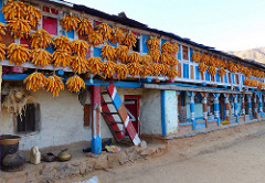 Drying Corn in Kandi