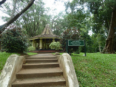Kandi jardin botanique de Peradeniya (le parc) (7)