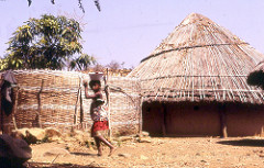 The Diallo compound in Ibel, Senegal (near Kedougou) (West Africa)