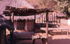 Diallo Compound, Ibel, southeast Sénégal (near Kédougou)
