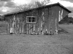 Abandoned Shed_St Marys County MD