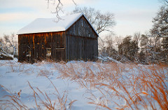 The Old Barn of Great Falls