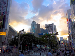 新宿の黄昏 - twilight Shinjuku skyscrapers