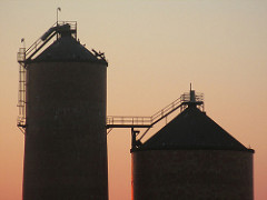 Silos in sunset. Old Georgia Pacific site in Bellingham