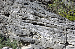 Calcarenitic eolianite (Hanna Bay Member, Rice Bay Formation, Holocene; Graham