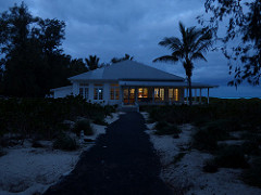 starr-150403-0954-Casuarina_equisetifolia-early_morning_darkness_with_lights_on-Clipper_House_Sand_Island-Midway_Atoll