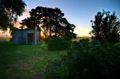 Sunset behind some pinetrees on the farm with shed in foreground
