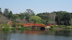 Toowoomba Japanese Garden