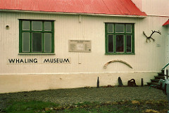 Grytviken South Georgia Museum