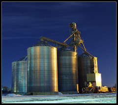 Bloomington Grain Terminal