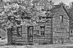Vacant Log House