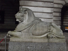 Nottingham Council House - Old Market Square - lion